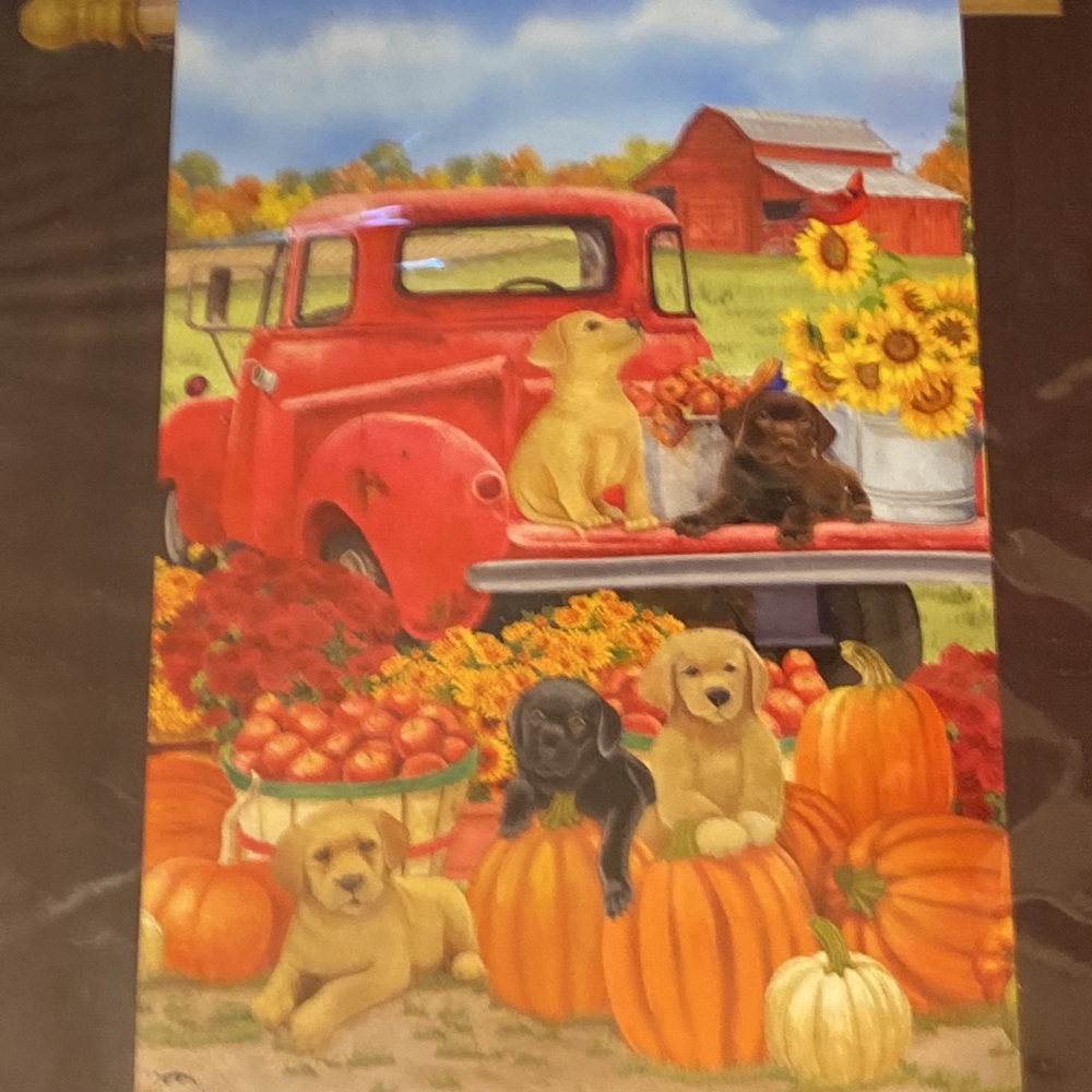 Premium House Flag for fall with dogs. NWOT